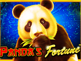 Panda's Fortune thumbnail